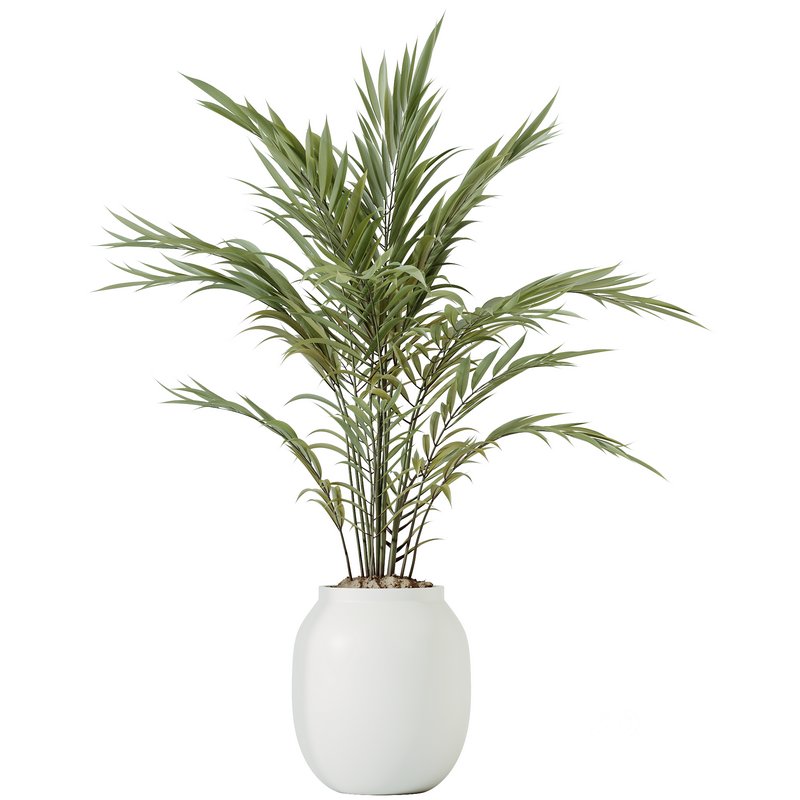HQ HousePlants Pelagio Artificial Mountain Kentia Palm02 Image 1