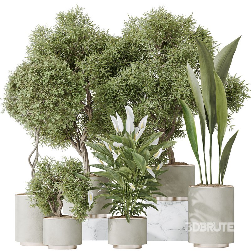 Indoor plant set 64 Image 1