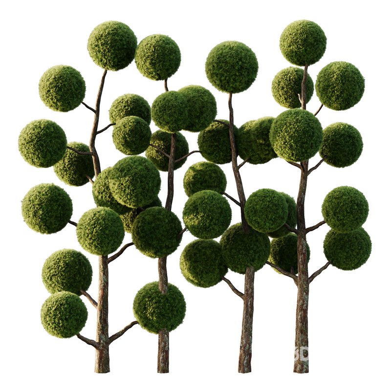 sphere Tree09 Image 1