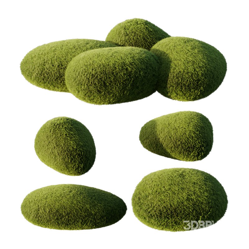 topiary plant Image 1