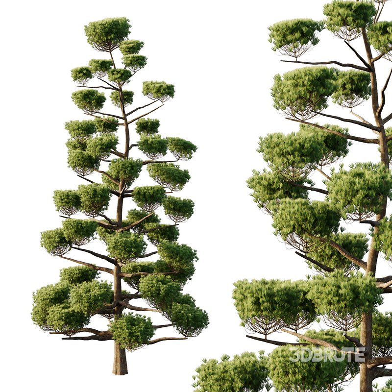 sphere Tree10 Image 2