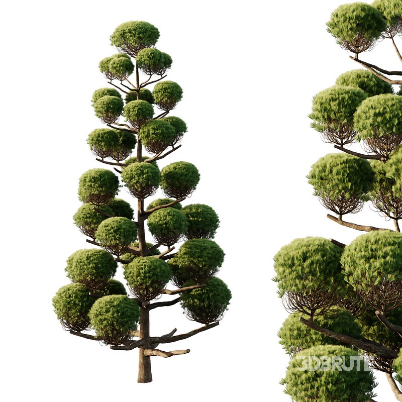 sphere Tree11 Image 1