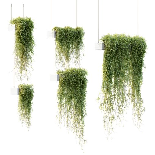 HQ HousePlants Hanged On Plants Set01