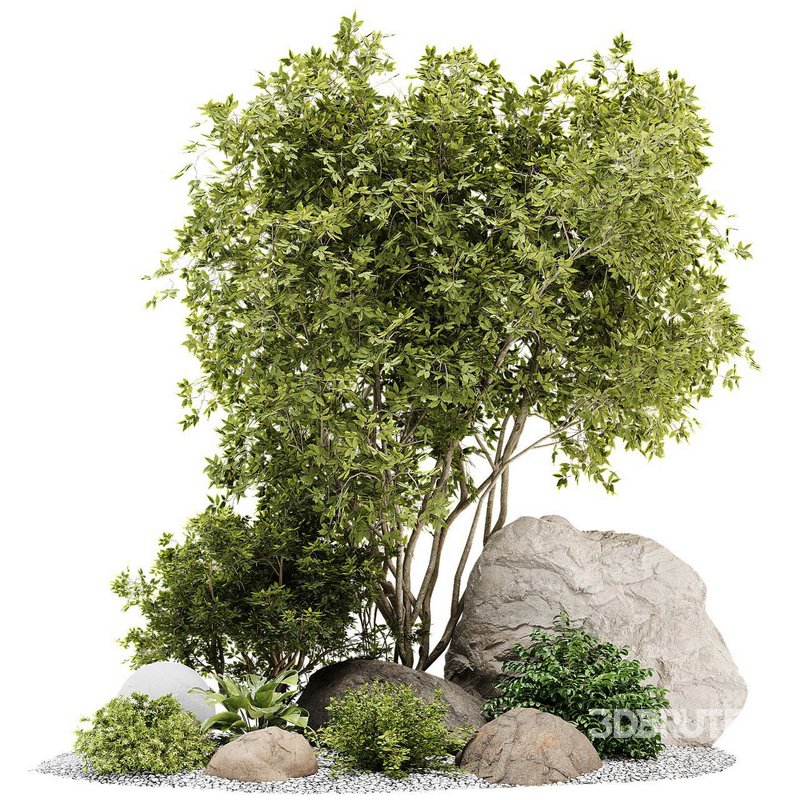 outdoor_plant_set01 Image 1