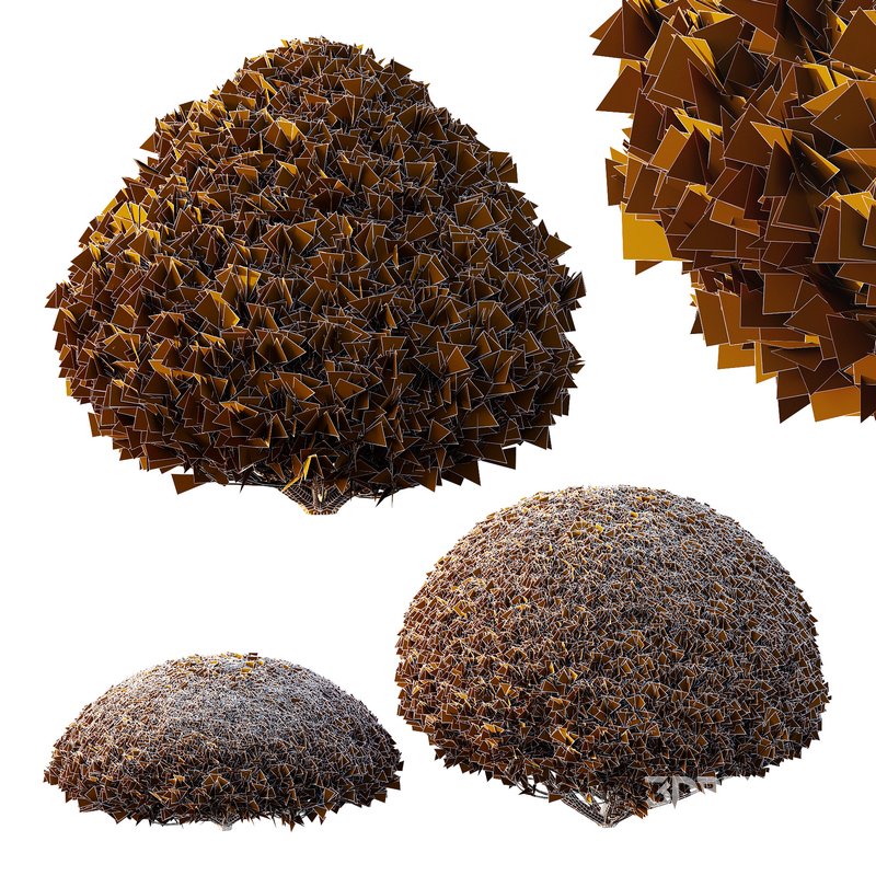 Pinus Mugo Bush03 Image 3