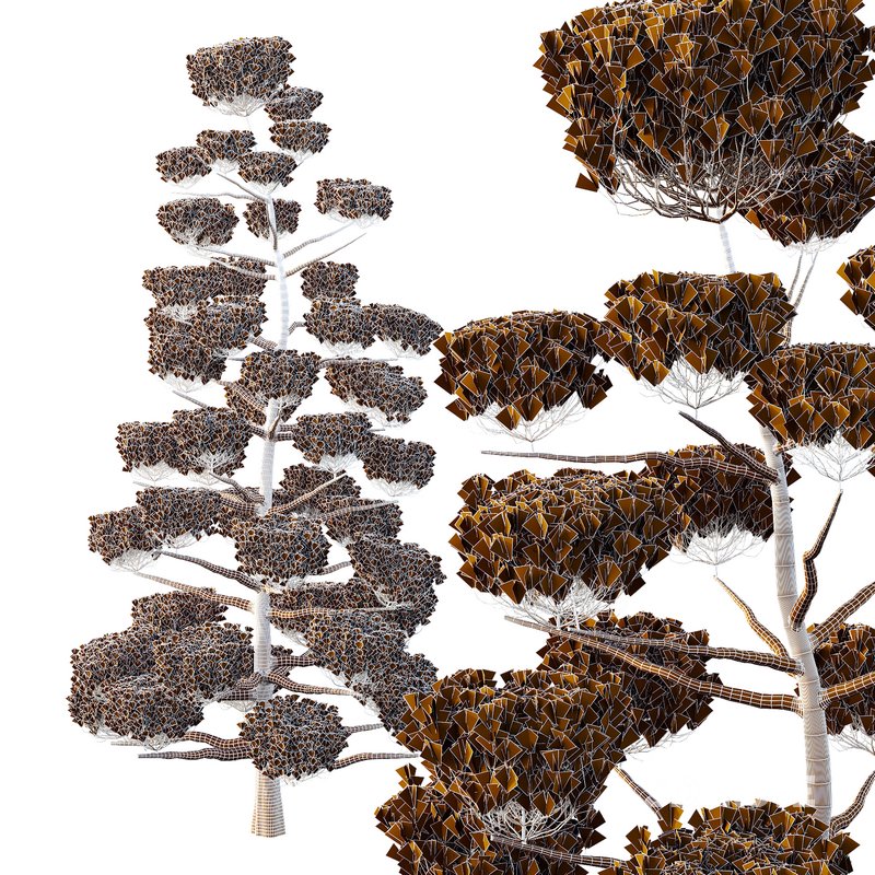 sphere Tree10 Image 3