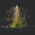 Carex Testacea Orange and Molinia Caerulea Fire Grasses - Thumbnail 2
