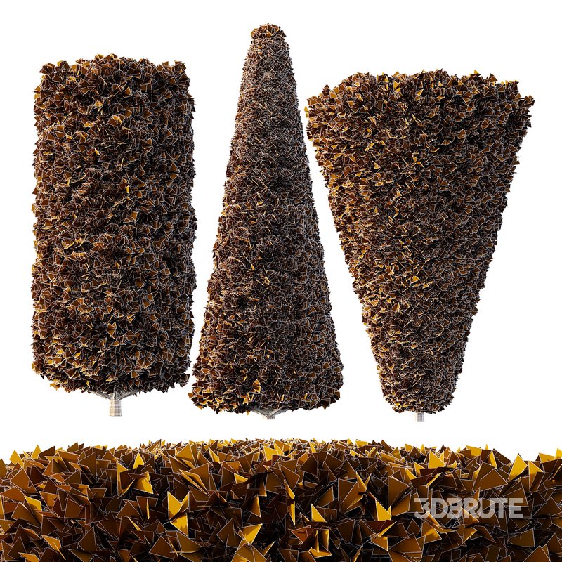 Pinus Mugo Bush05 Image 2