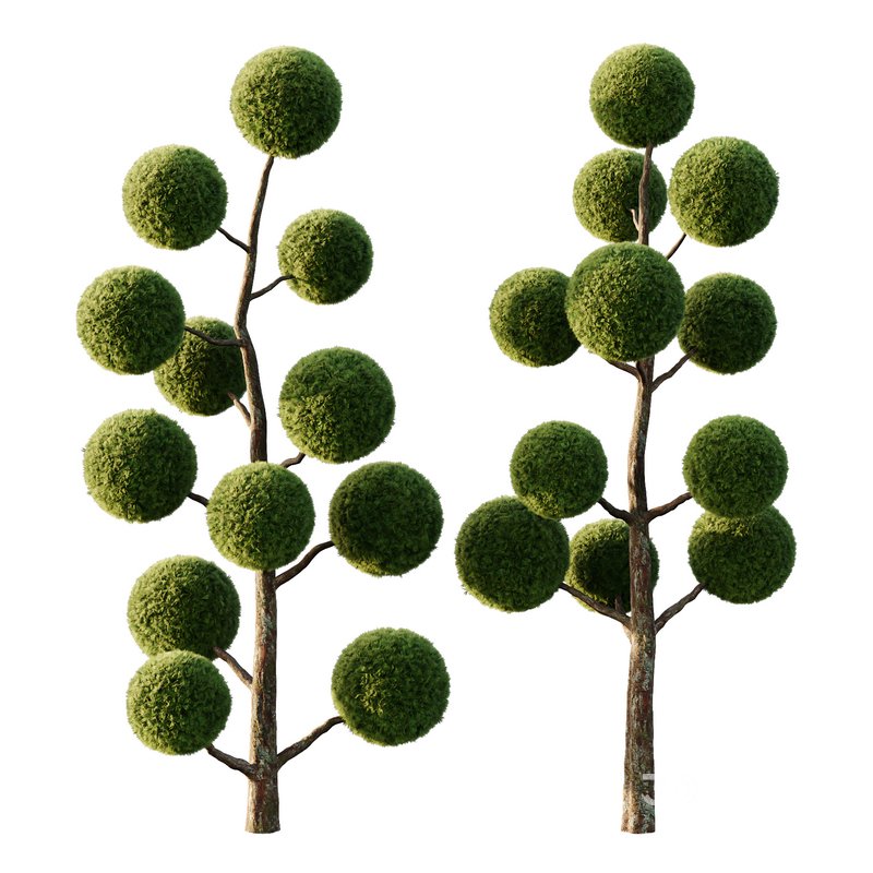 sphere Tree09 Image 4