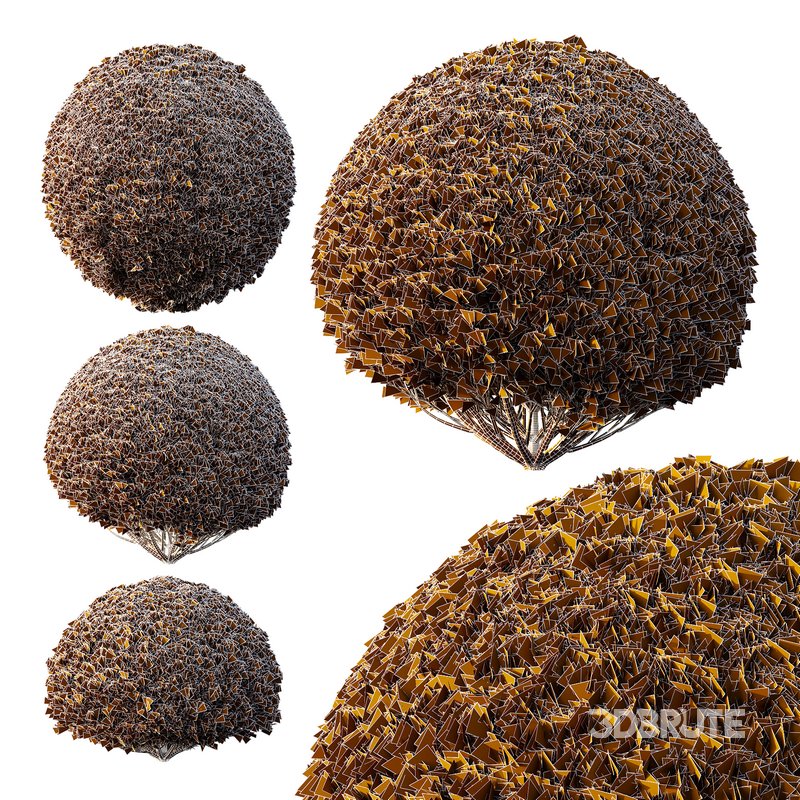 Pinus Mugo Bush06 Image 3