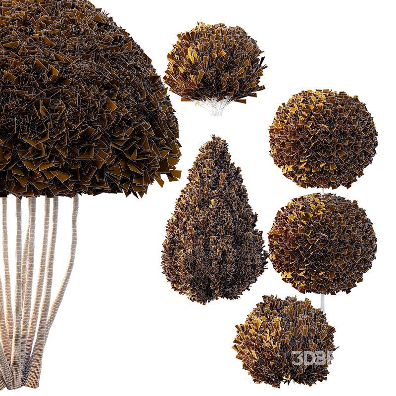 Pinus Mugo Bush08 Image 2