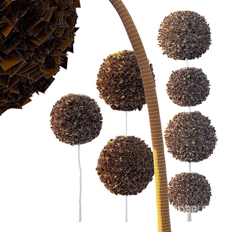 Pinus Mugo Bush09 Image 2