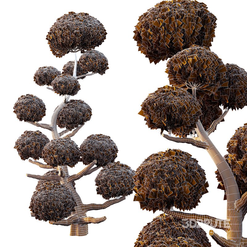 sphere Tree14 Image 2