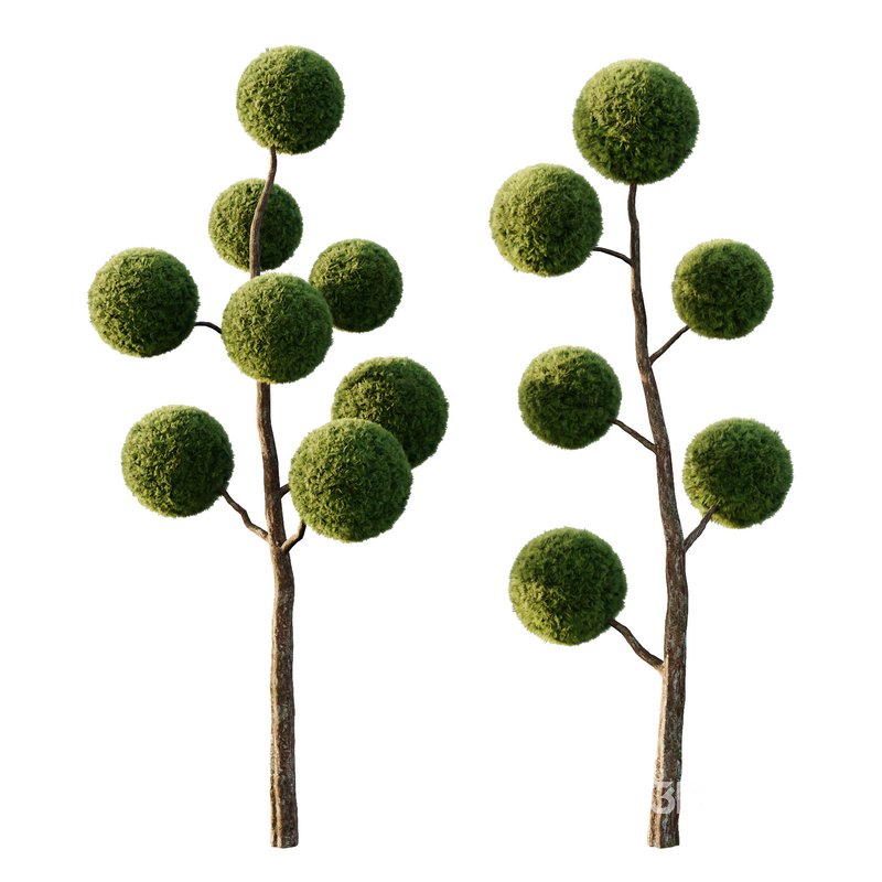 sphere Tree09 Image 2