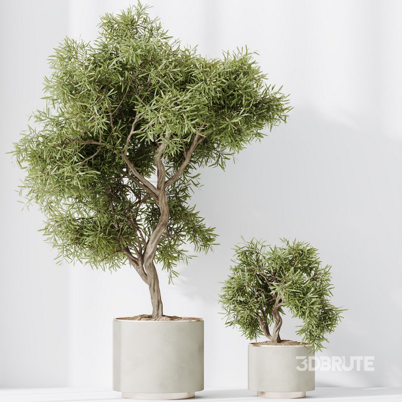 Indoor plant set 64 Image 3