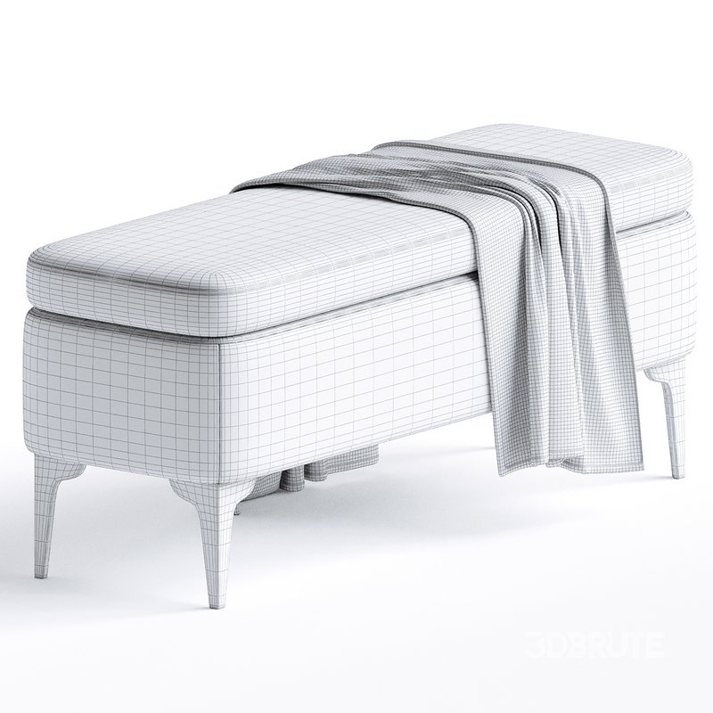 Ameelya Polyester Upholstered Storage Bench Image 3