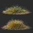 Carex Testacea Orange and Molinia Caerulea Fire Grasses - Thumbnail 4