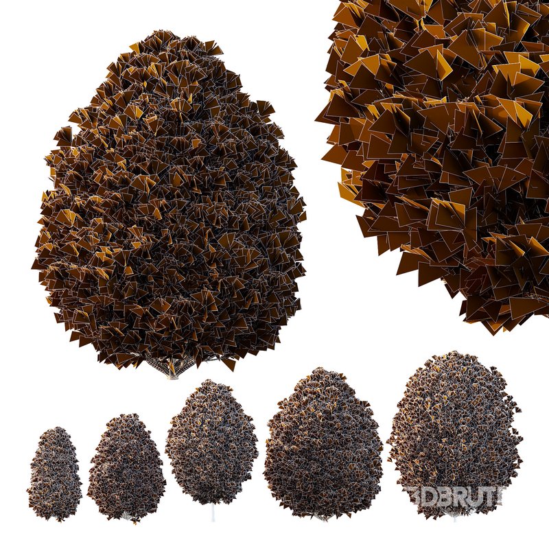 Pinus Mugo Bush02 Image 3