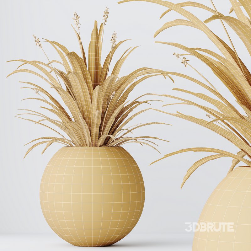 HQ HousePlants Decorative Green Dracaena Cane Dragon Image 4