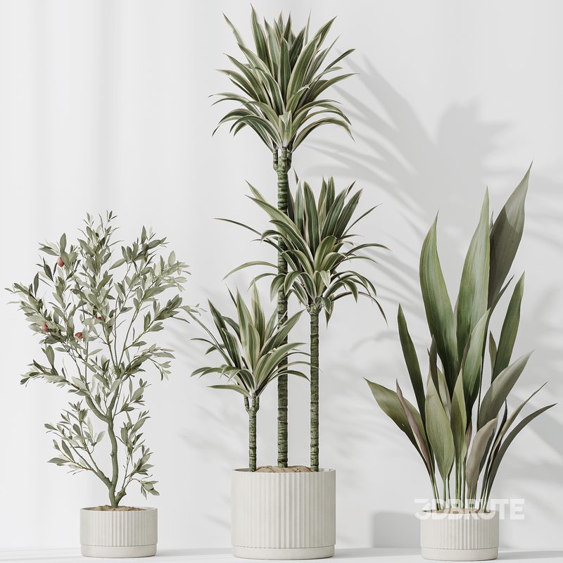 ndoor plant set 63 Image 1