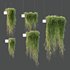 HQ HousePlants Hanged On Plants Set01 - Thumbnail 5