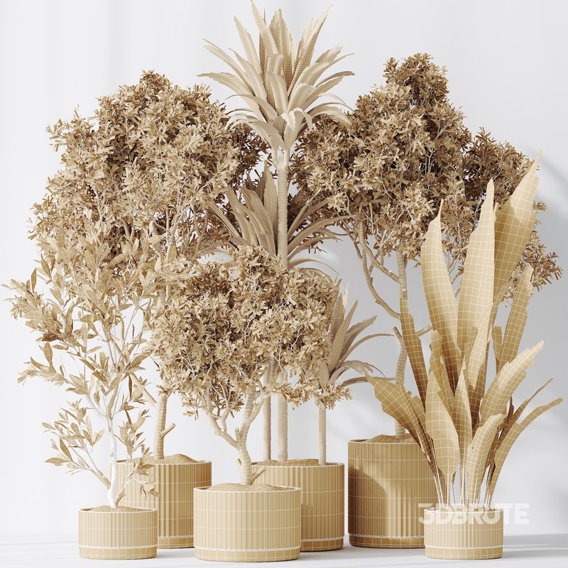 ndoor plant set 63 Image 3