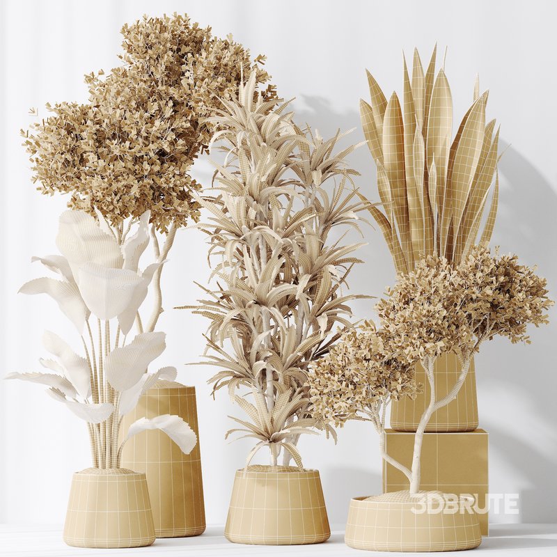 Indoor plants set 84 Olive Tree and ParadiseBird Image 2