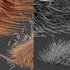 Carex Testacea Orange and Molinia Caerulea Fire Grasses - Thumbnail 5