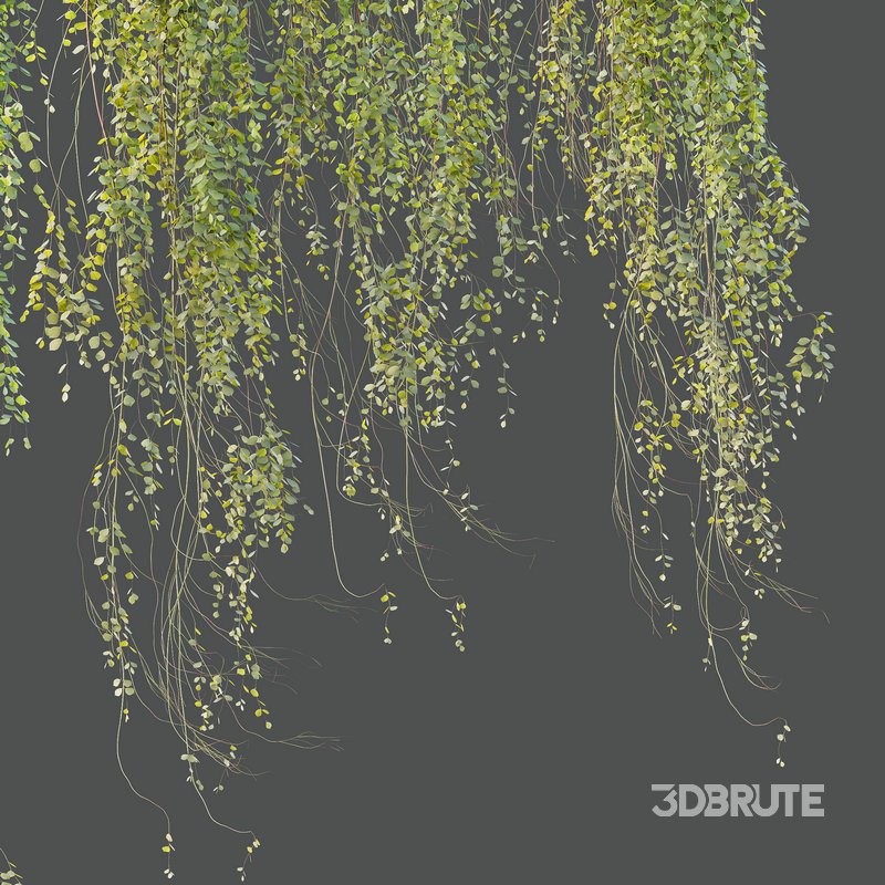 HQ HousePlants Hanged On Plants Set01 Image 3