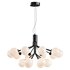 Apiales Chandelier - Thumbnail 2