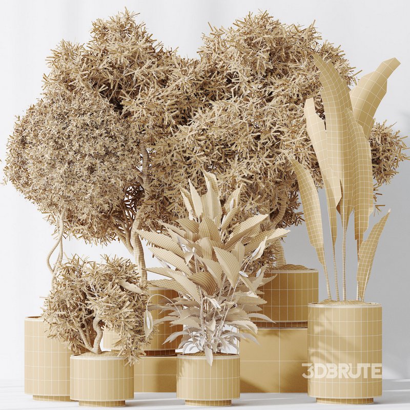 Indoor plant set 64 Image 6