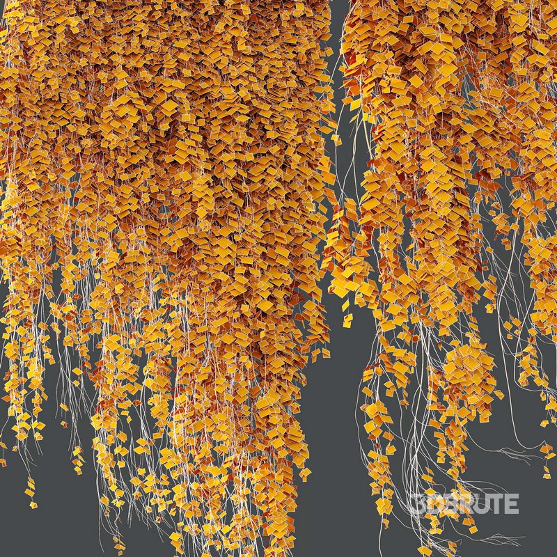 HQ HousePlants Hanged On Plants Set01 Image 4