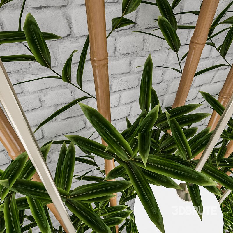 3D 3D Bamboo Decor Image 4