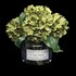 bouquet of hydrangea - Thumbnail 1