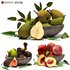 Fruit set - Thumbnail 1