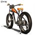 electric bike - Thumbnail 5