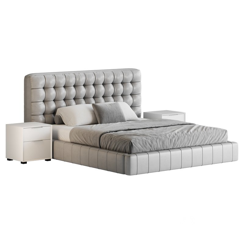 White Upholstered Panel Bed Image 2