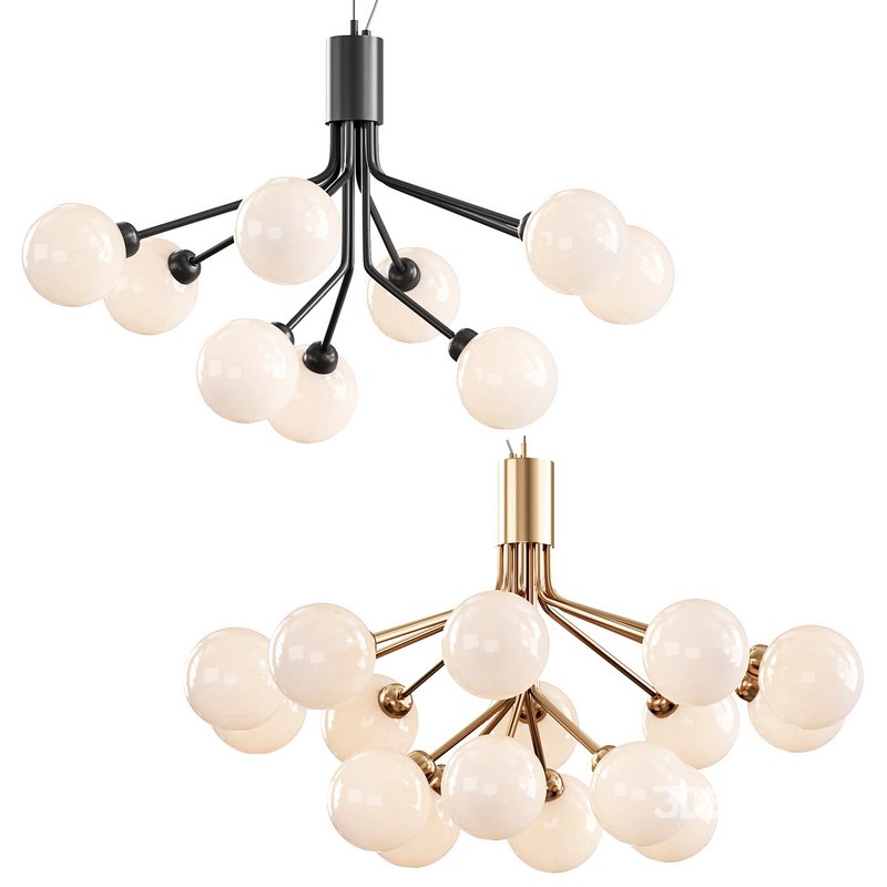 Apiales Chandelier Image 6