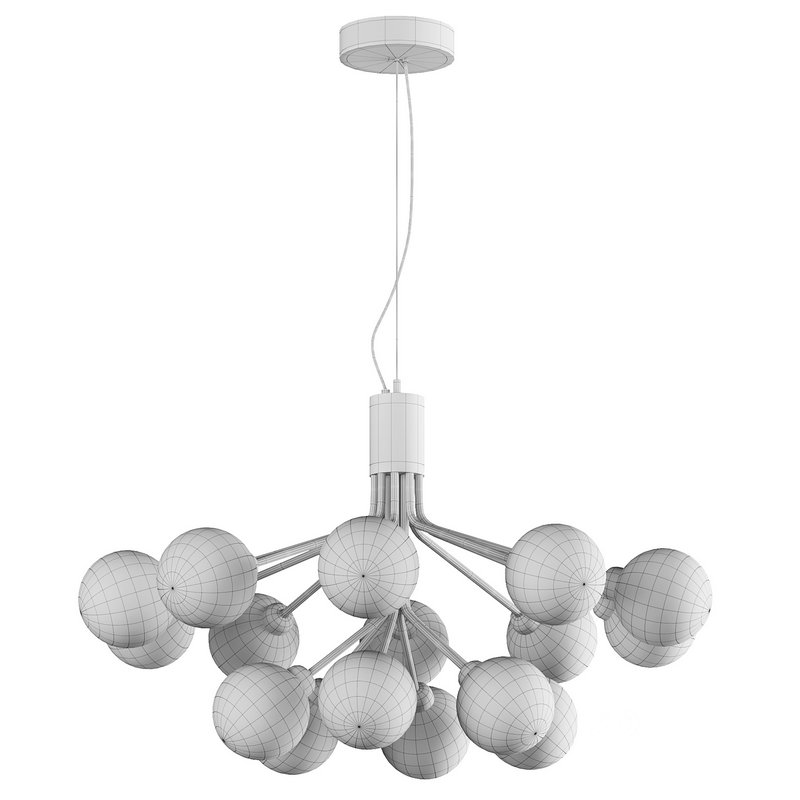 Apiales Chandelier Image 5