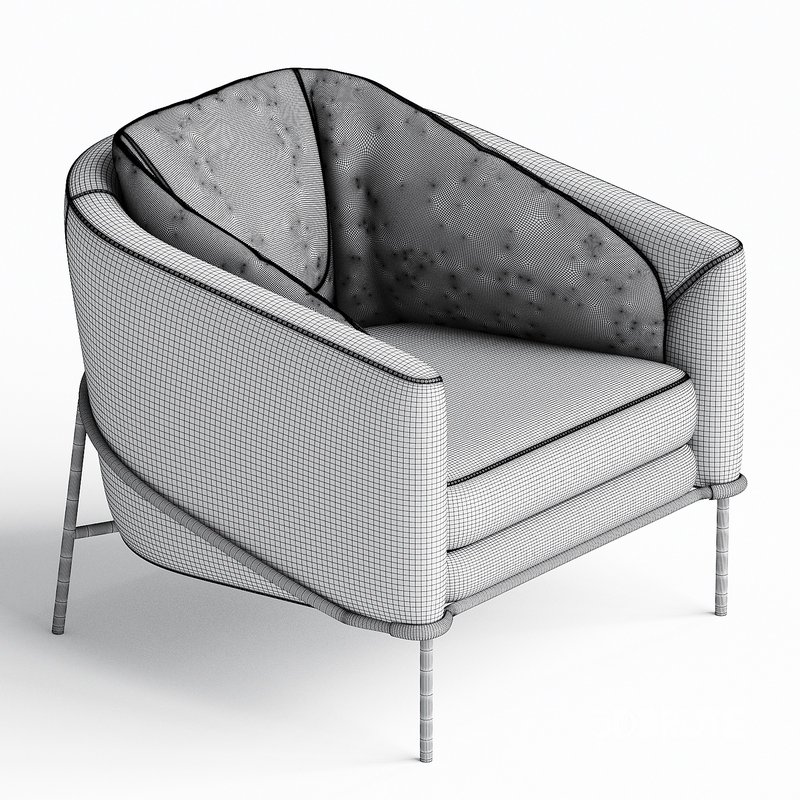FIL NOIR Armchair By Minotti Image 3