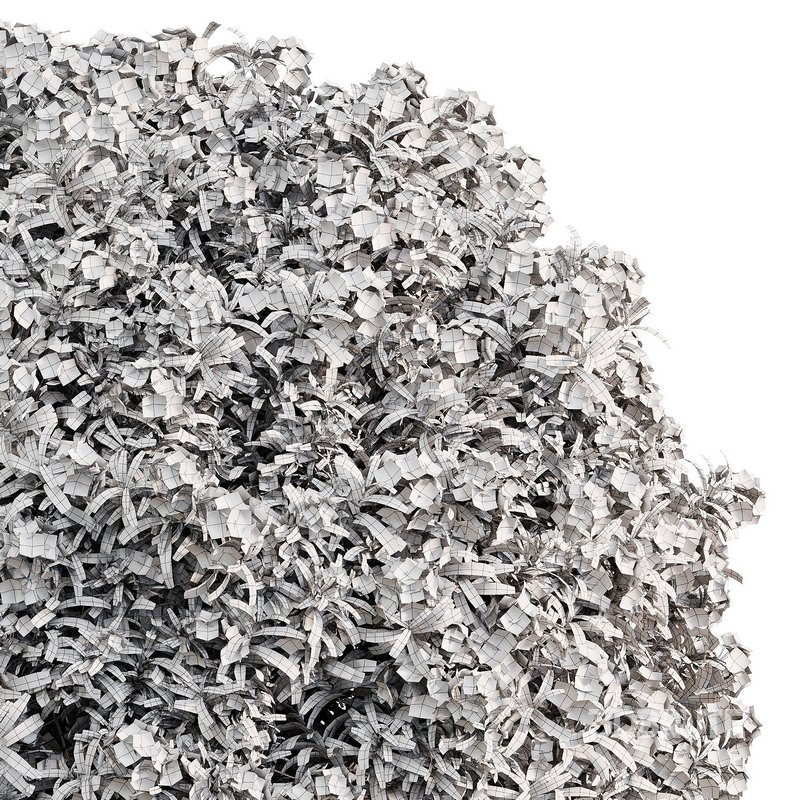 ourdoor plant 1 Image 2