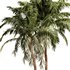 Palm Tree Set17 - Thumbnail 2