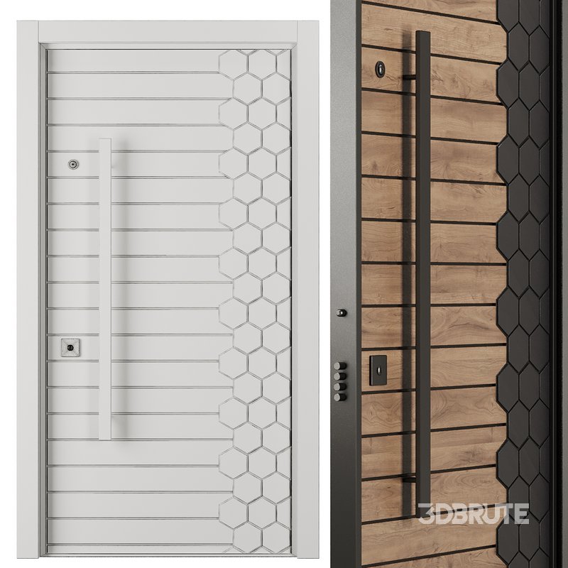 Entrance door set43 Image 3