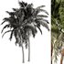 Palm Tree Set17 - Thumbnail 3