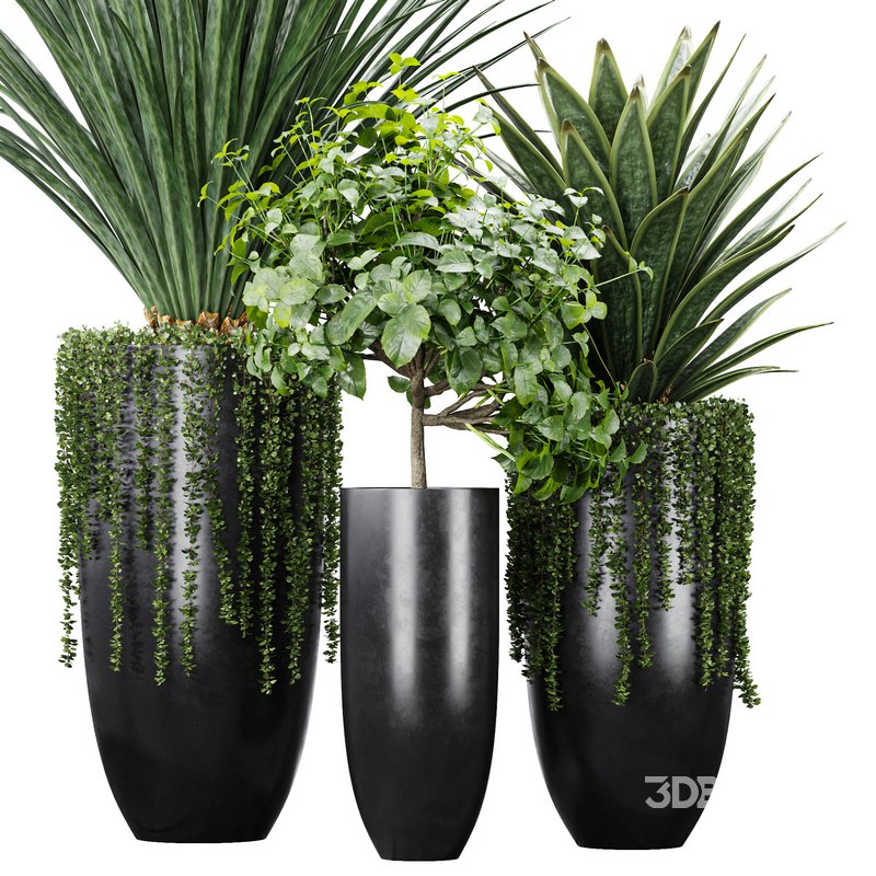 Indoor Artificial Office Plants Large Succulents Image 1