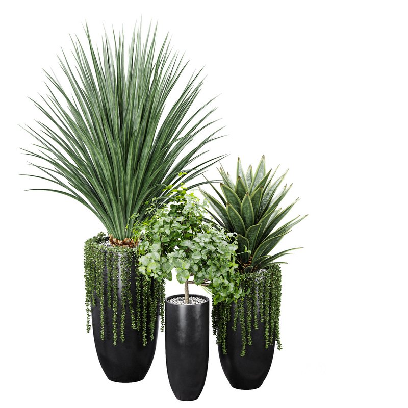 Indoor Artificial Office Plants Large Succulents Image 3