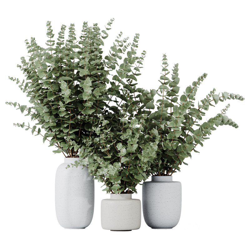 HQ HousePlants Branche Decorative Foliage Dollar Authentic Eucalyptus Bouquet Set02 Image 1