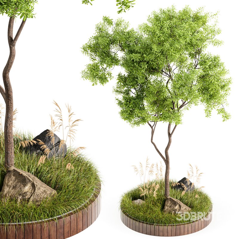 Outdoor Plant Set 001 – Plant Square Image 1