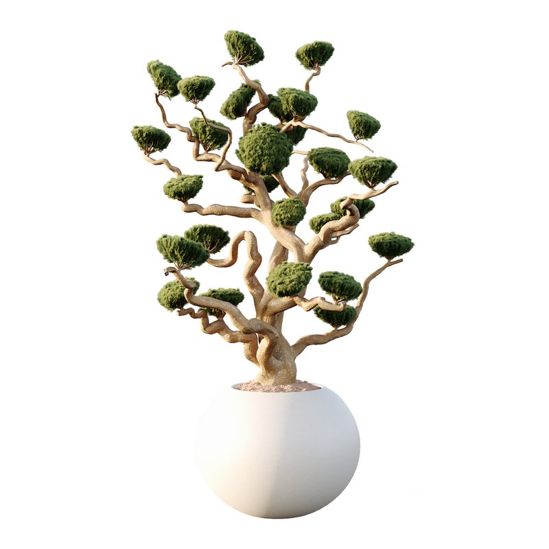 Potted sphere tree01 Image 1