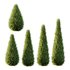 Italian Cypress Tree 16 - Thumbnail 1